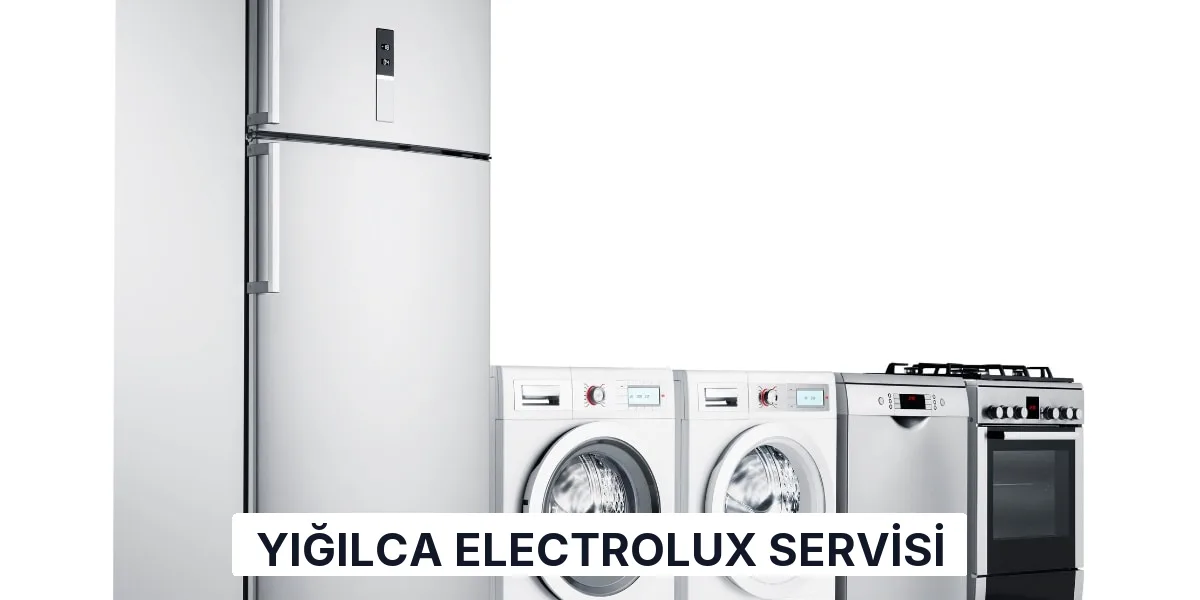 Yığılca Electrolux Servisi