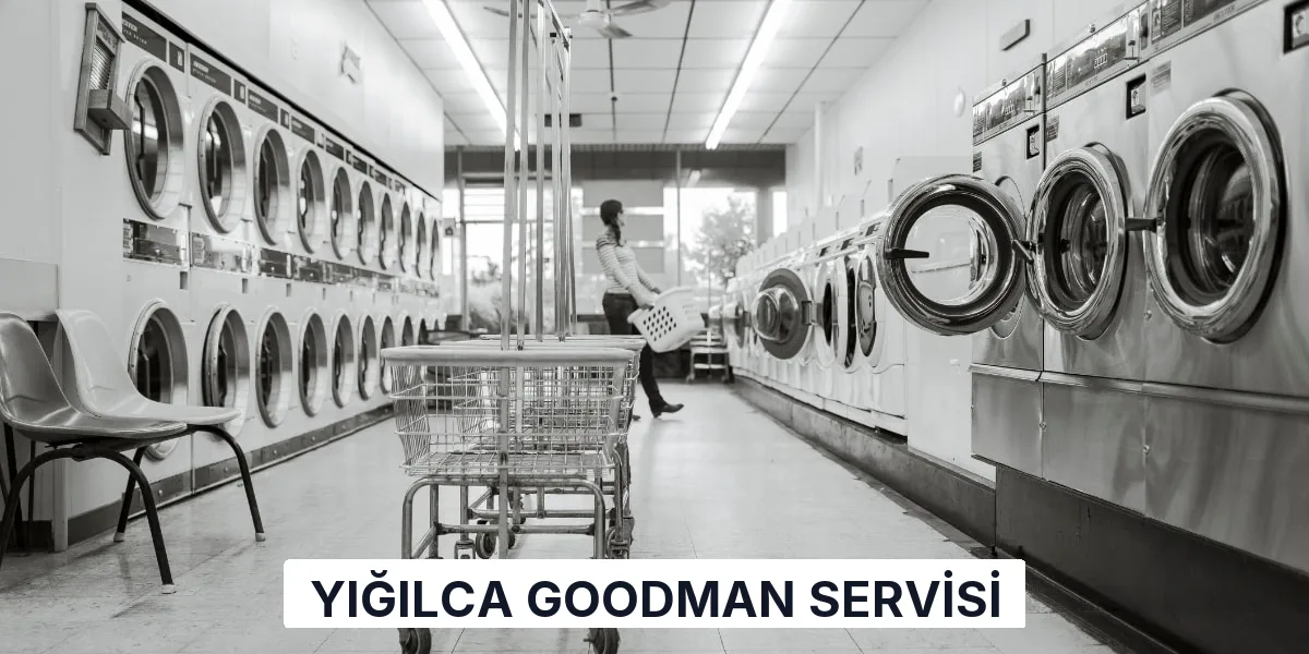 Yığılca Goodman Servisi