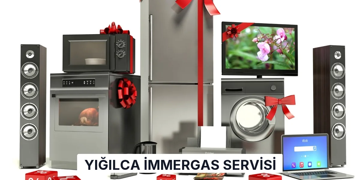Yığılca İmmergas Servisi
