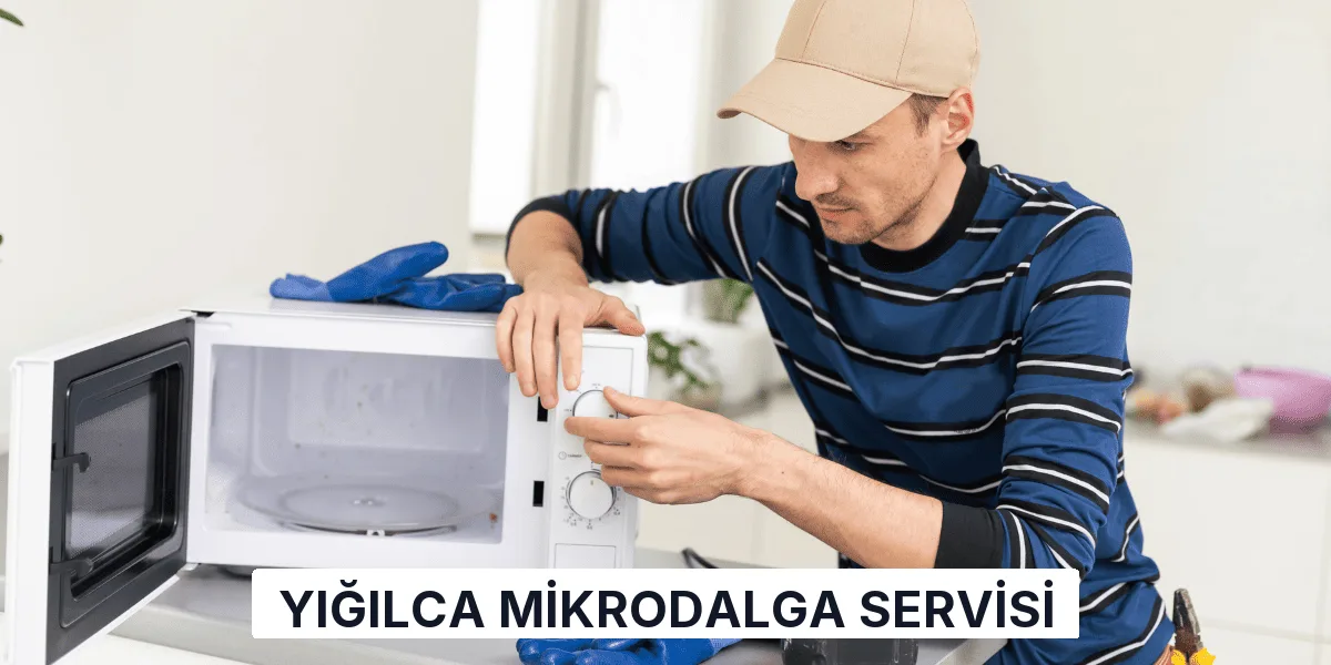 Yığılca Mikrodalga Servisi
