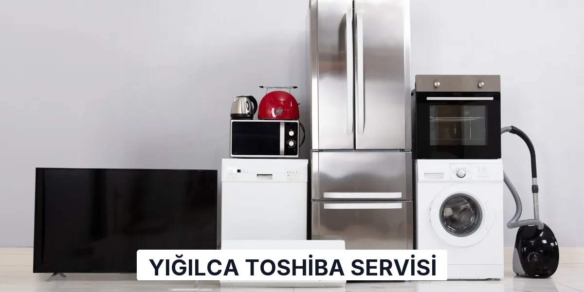 Yığılca Toshiba Servisi