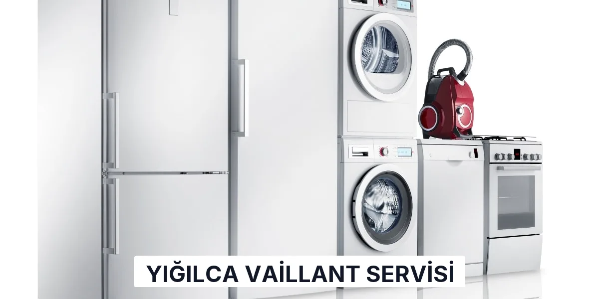 Yığılca Vaillant Servisi